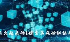 TP钱包怎么火起来的？探索