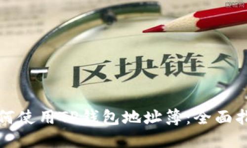 如何使用TP钱包地址簿：全面指南